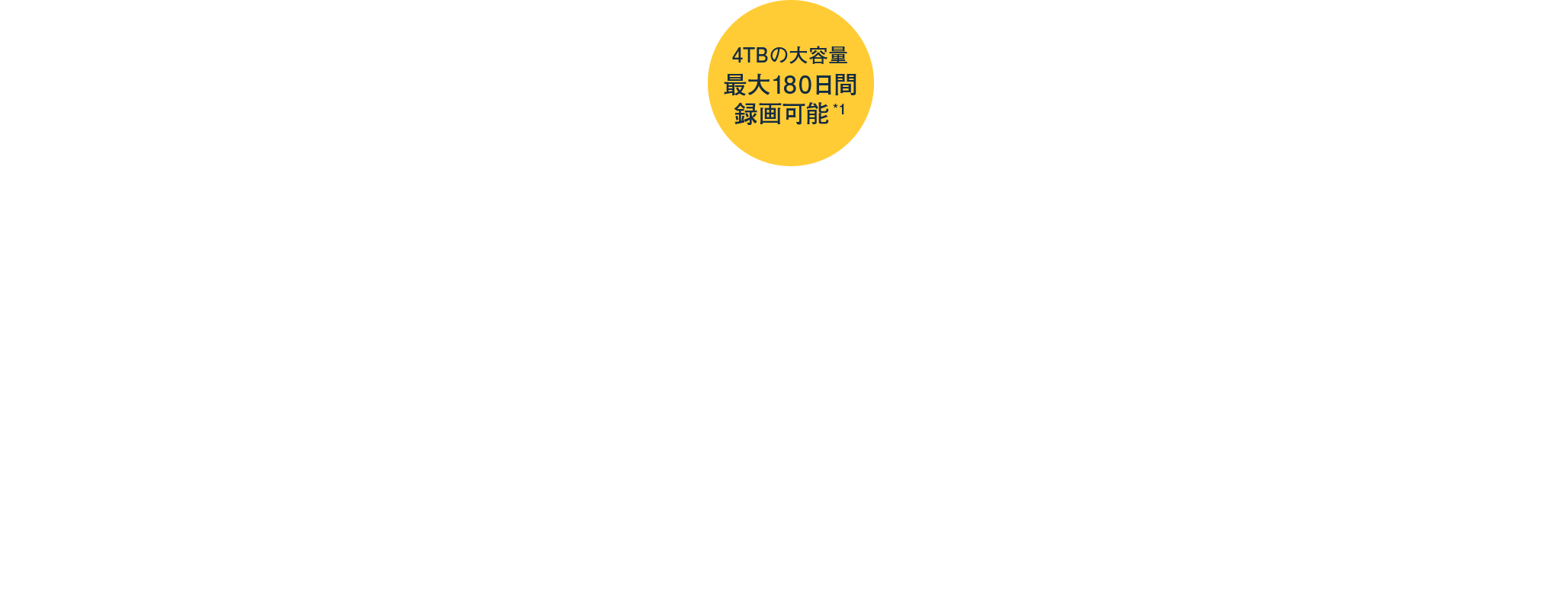 4TBの大容量 最大180日間録画可能*1