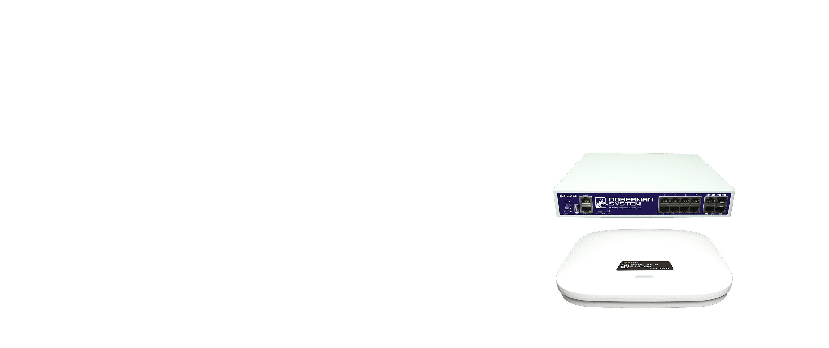 [ウイルス拡散防止] Virus Cluster Guard　DS-VGシリーズ