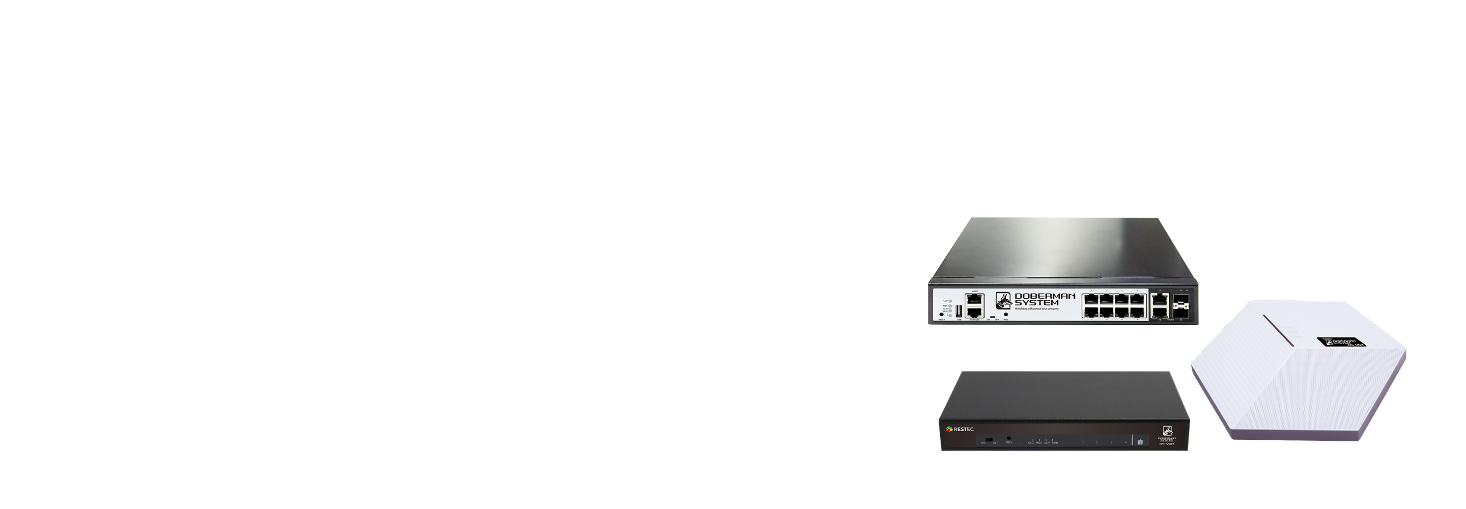 [ウイルス拡散防止] Virus Cluster Guard　DS-VGシリーズ