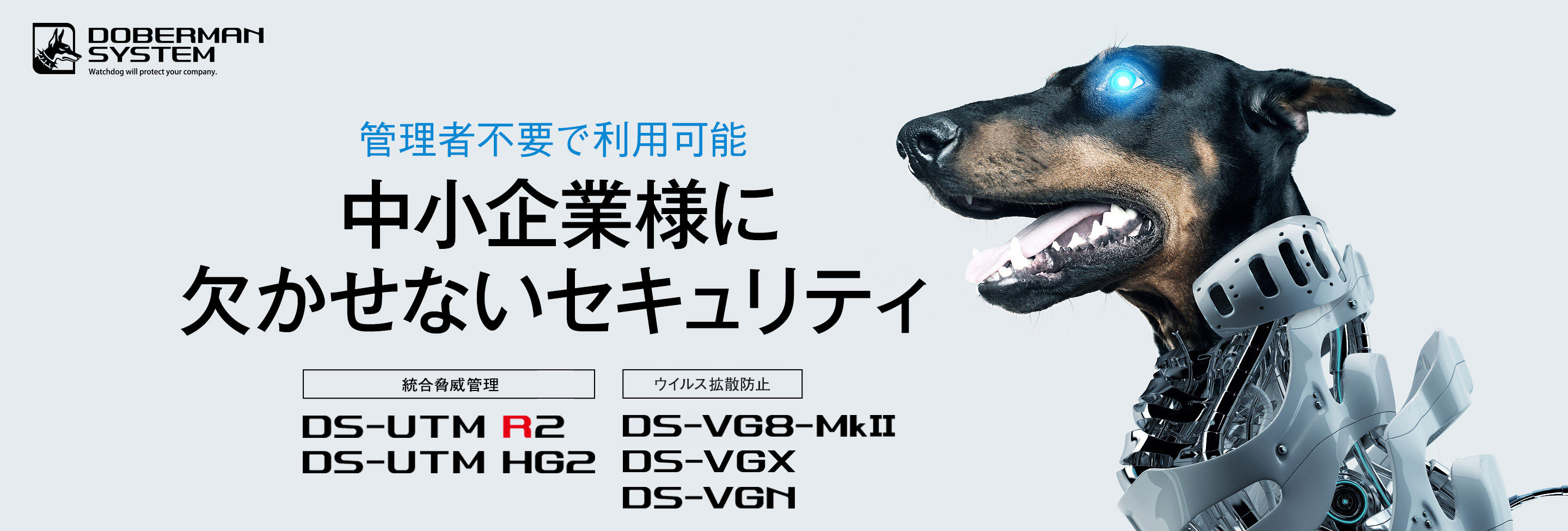 DS_mainbannerR2_VG8Mk2_N.jpg